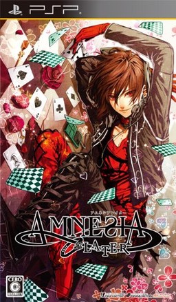 Image de Amnesia